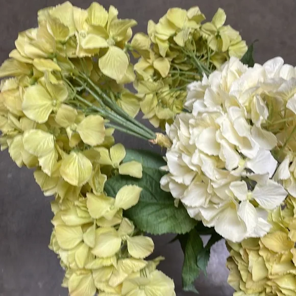 Hydrangeas, 4 in green yellow and 2 in a light yellow - Picture 6 of 6